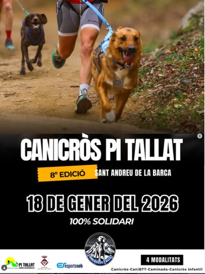 Pi tallat 2026